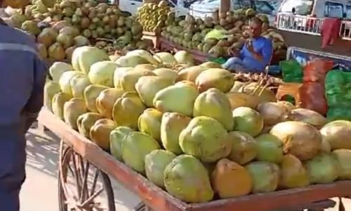 WhatsApp Image 2025-03-03 at 1.33.37 PM (1)