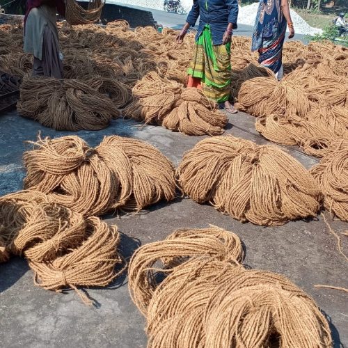 WhatsApp Image 2025-03-03 at 1.33.38 PM