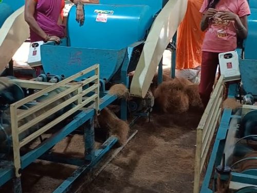 WhatsApp Image 2025-03-03 at 1.33.46 PM