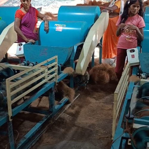 WhatsApp Image 2025-03-03 at 1.33.46 PM